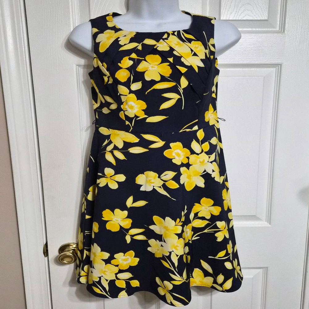 Alyyx Dress Size 4